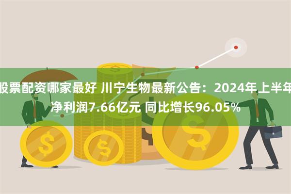 股票配资哪家最好 川宁生物最新公告：2024年上半年净利润7.66亿元 同比增长96.05%