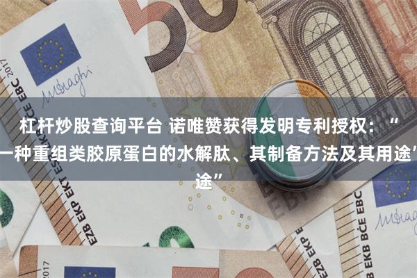杠杆炒股查询平台 诺唯赞获得发明专利授权：“一种重组类胶原蛋白的水解肽、其制备方法及其用途”