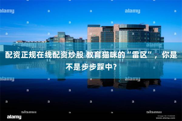 配资正规在线配资炒股 教育猫咪的“雷区”，你是不是步步踩中？