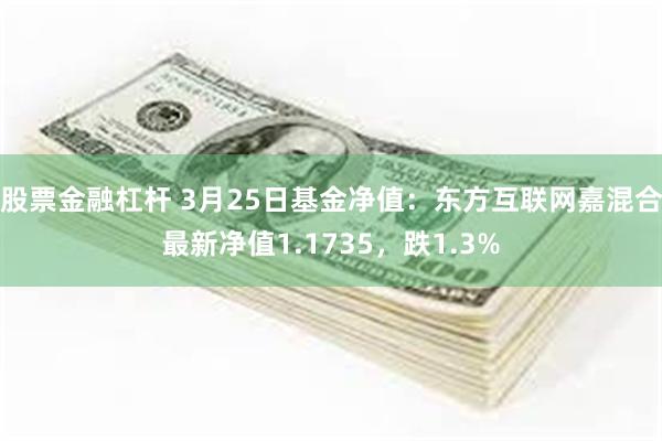 股票金融杠杆 3月25日基金净值：东方互联网嘉混合最新净值1.1735，跌1.3%