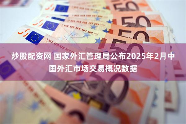 炒股配资网 国家外汇管理局公布2025年2月中国外汇市场交易概况数据