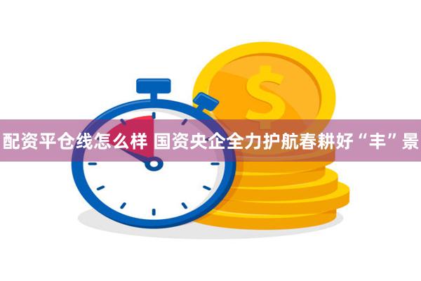 配资平仓线怎么样 国资央企全力护航春耕好“丰”景