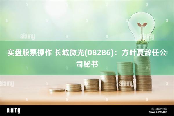 实盘股票操作 长城微光(08286)：方叶夏辞任公司秘书