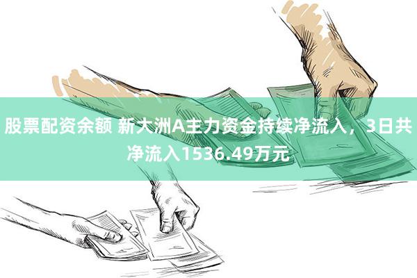 股票配资余额 新大洲A主力资金持续净流入，3日共净流入1536.49万元