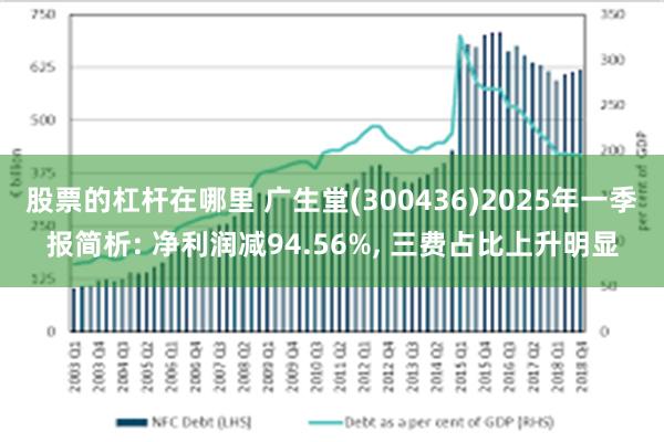 股票的杠杆在哪里 广生堂(300436)2025年一季报简析: 净利润减94.56%, 三费占比上升明显