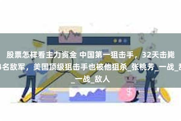 股票怎样看主力资金 中国第一狙击手，32天击毙214名敌军，美国顶级狙击手也被他狙杀_张桃芳_一战_敌人