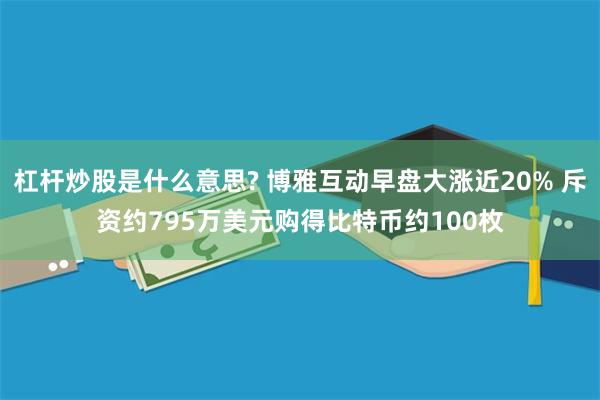 杠杆炒股是什么意思? 博雅互动早盘大涨近20% 斥资约795万美元购得比特币约100枚