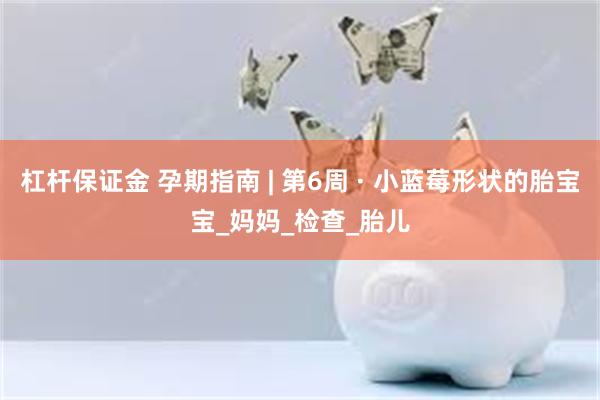 杠杆保证金 孕期指南 | 第6周 · 小蓝莓形状的胎宝宝_妈妈_检查_胎儿