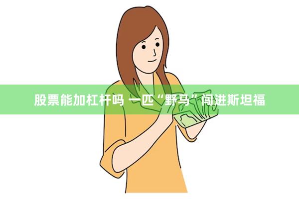 股票能加杠杆吗 一匹“野马”闯进斯坦福