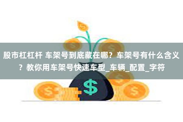 股市杠杠杆 车架号到底藏在哪？车架号有什么含义？教你用车架号快速车型_车辆_配置_字符
