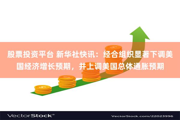 股票投资平台 新华社快讯：经合组织显著下调美国经济增长预期，并上调美国总体通胀预期