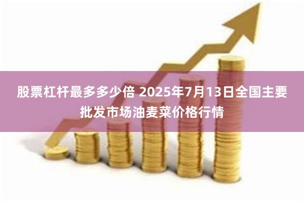 股票杠杆最多多少倍 2025年7月13日全国主要批发市场油麦菜价格行情
