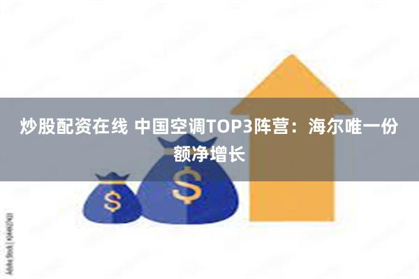 炒股配资在线 中国空调TOP3阵营：海尔唯一份额净增长