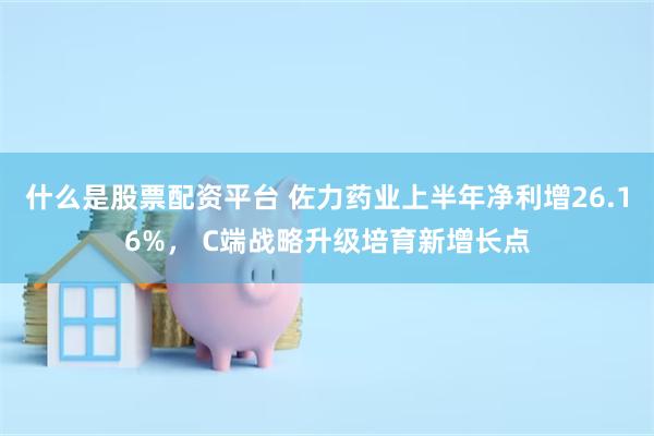 什么是股票配资平台 佐力药业上半年净利增26.16%， C端战略升级培育新增长点