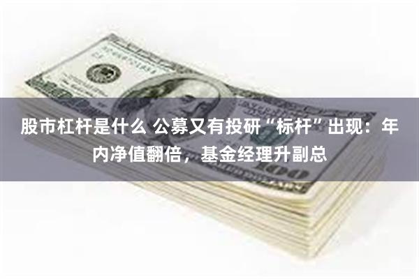 股市杠杆是什么 公募又有投研“标杆”出现:年内净值翻倍,基金经理升副总