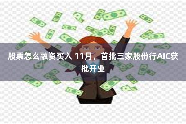股票怎么融资买入 11月,首批三家股份行AIC获批开业